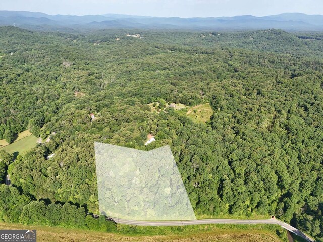 LOT1 Spring Ridge Dr, Morganton, GA 30560