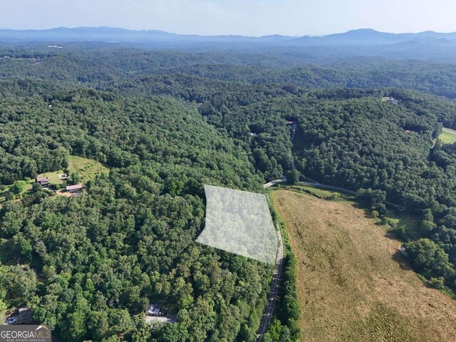 LOT1 Spring Ridge Dr, Morganton, GA 30560