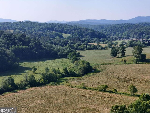 LOT1 Spring Ridge Dr, Morganton, GA 30560