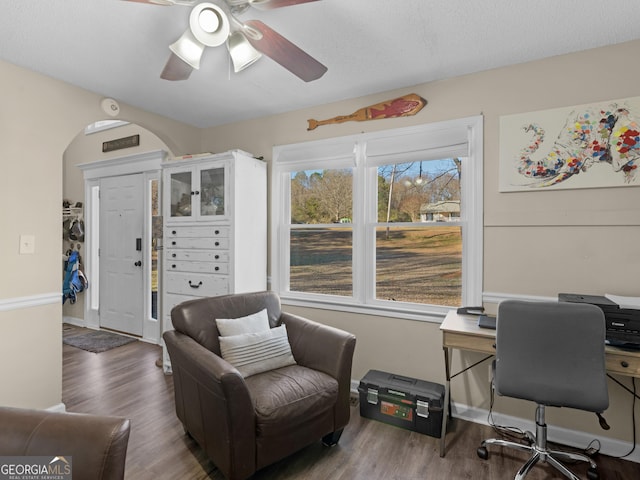 office space with hardwood / wood-style flooring, ceiling fan, and a healthy amount of sunlight