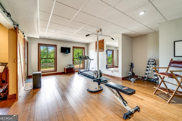 workout room with a barn door, hardwood / wood-style flooring, and a drop ceiling