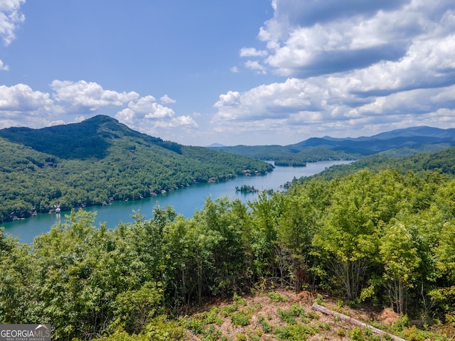 property view of water featuring a mountain view