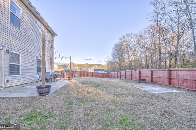 view of yard with a patio area, a fenced backyard, and a playground