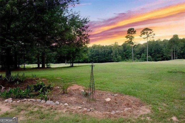 view of yard at dusk