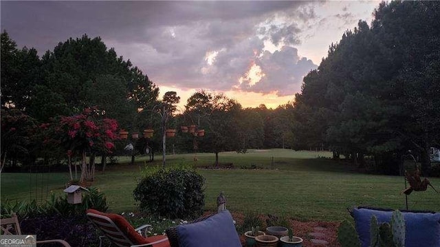 view of yard at dusk