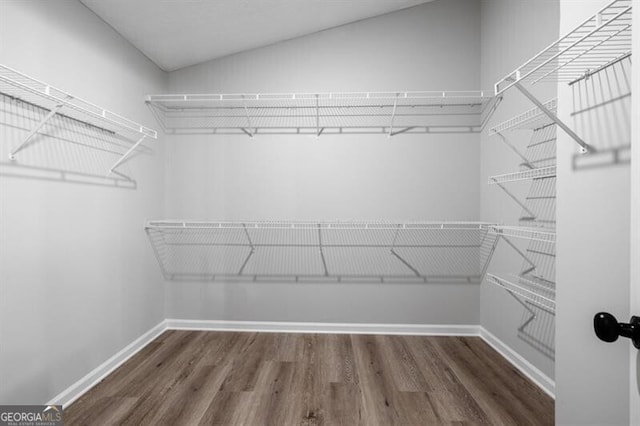 spacious closet with dark wood-type flooring