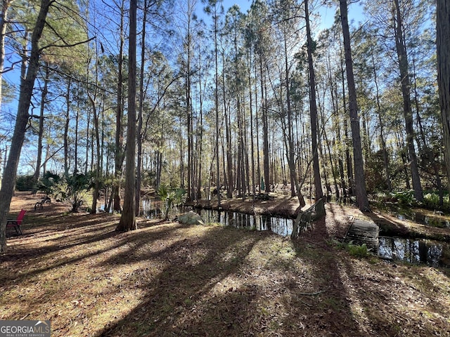 view of yard with a water view