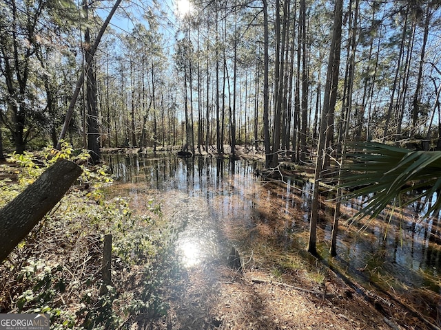 view of water feature