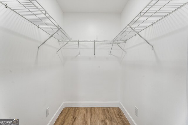 walk in closet featuring wood-type flooring