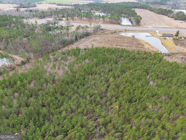 birds eye view of property with a water view and a rural view