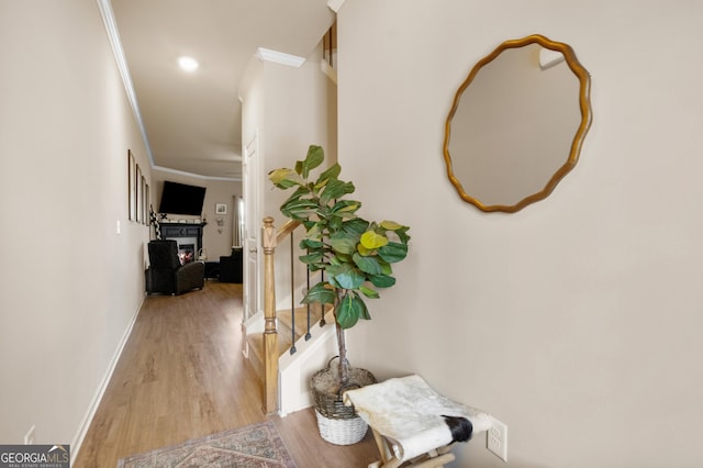 hall featuring crown molding and light hardwood / wood-style floors