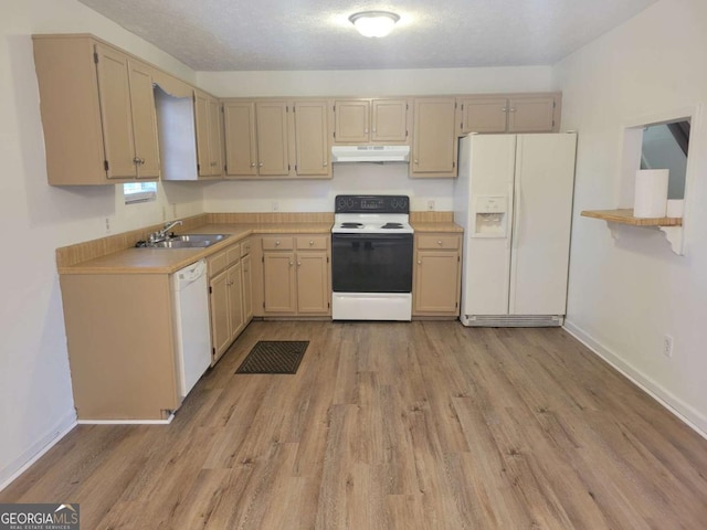 kitchen featuring sink, light hardwood / wood-style flooring, a textured ceiling, white appliances, and light brown cabinetry