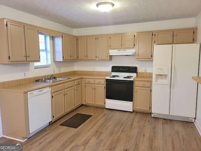 kitchen featuring light brown cabinets, white appliances, sink, light wood-type flooring, and a textured ceiling