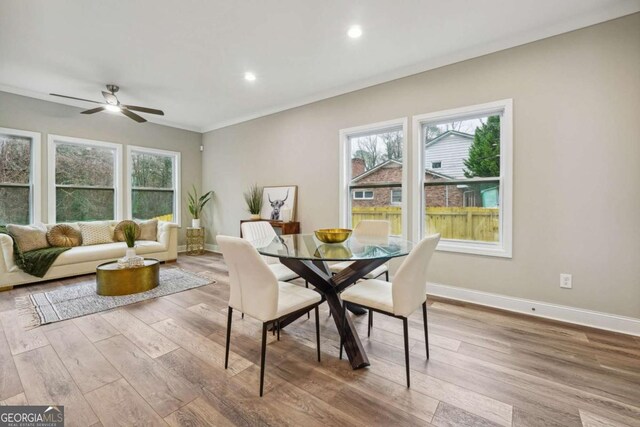 dining room with light wood-type flooring and ceiling fan