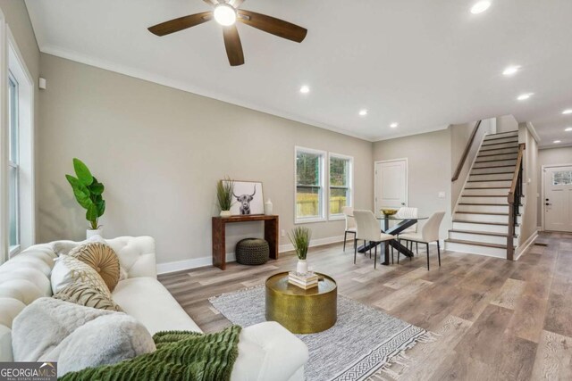 living room featuring light hardwood / wood-style floors, ceiling fan, and ornamental molding