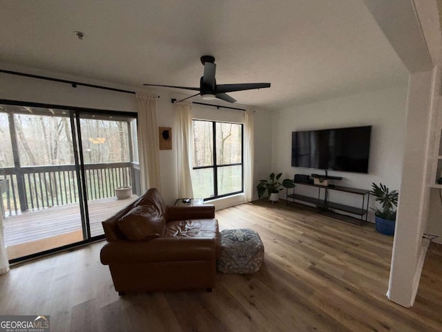 living room featuring ceiling fan and hardwood / wood-style flooring