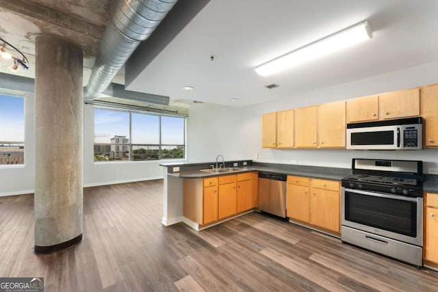 kitchen featuring sink, wood-type flooring, plenty of natural light, and appliances with stainless steel finishes