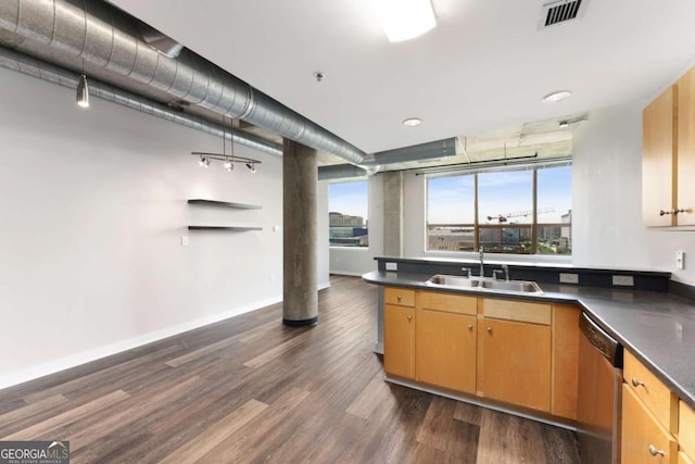 kitchen featuring dark hardwood / wood-style floors, stainless steel dishwasher, and sink