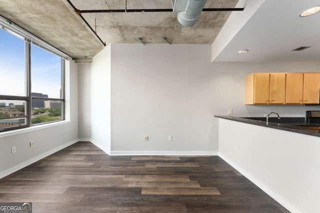 unfurnished dining area with sink and dark wood-type flooring