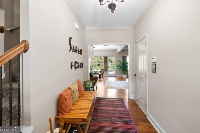 hall with dark hardwood / wood-style floors and crown molding