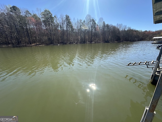 200 Greenpeace Way, Martin, GA 30557 - view of water feature featuring a view of trees
