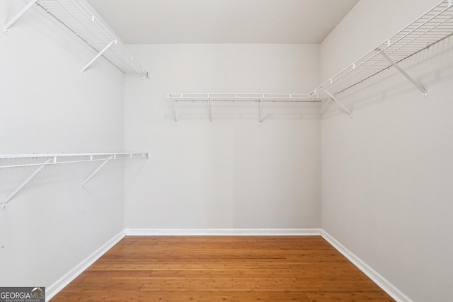 spacious closet featuring hardwood / wood-style floors