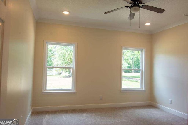 spare room with light colored carpet, a wealth of natural light, and crown molding