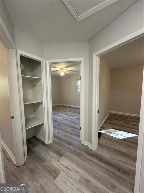 corridor with hardwood / wood-style floors and ornamental molding