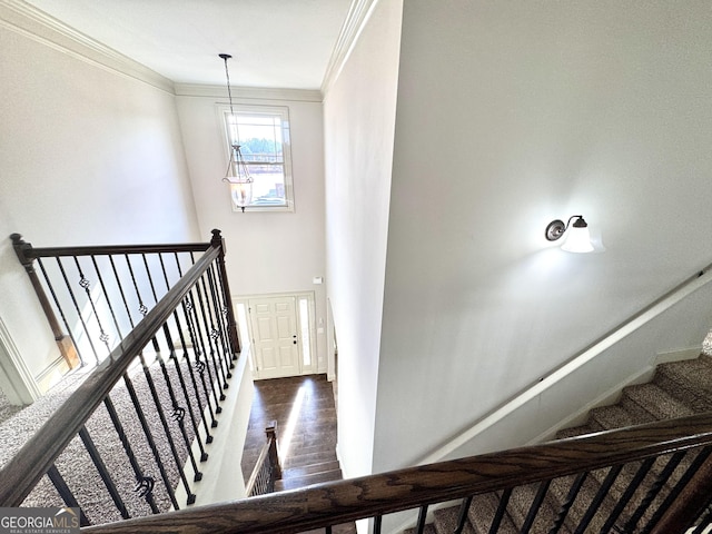 stairs with wood-type flooring and ornamental molding