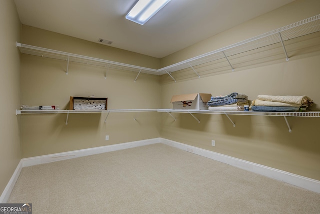 spacious closet with carpet flooring