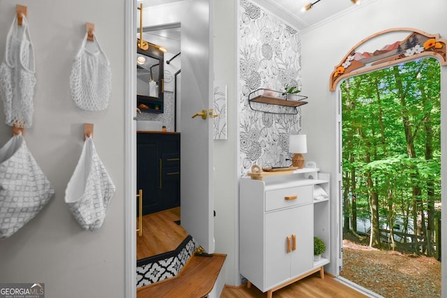 bathroom with hardwood / wood-style flooring and ornamental molding