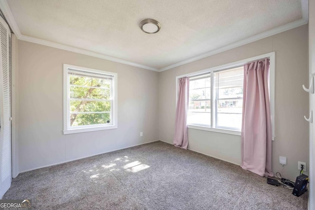 carpeted spare room featuring a textured ceiling and crown molding