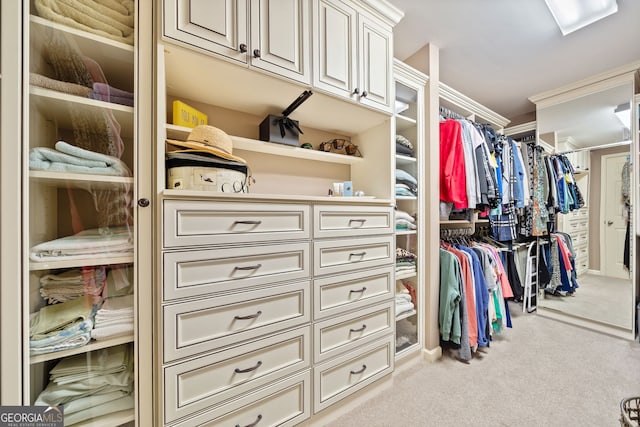 walk in closet with light colored carpet