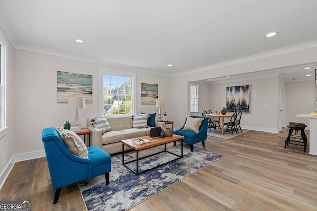 living room with crown molding and hardwood / wood-style flooring