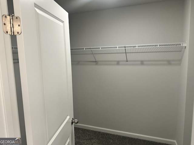 spacious closet with dark colored carpet