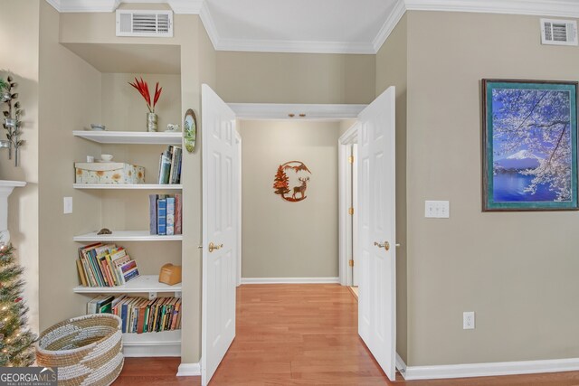 bedroom with a raised ceiling, ceiling fan, and wood-type flooring