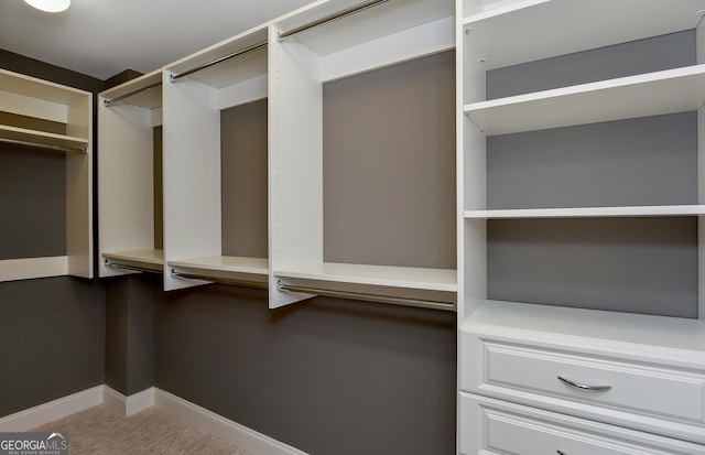 walk in closet featuring carpet floors