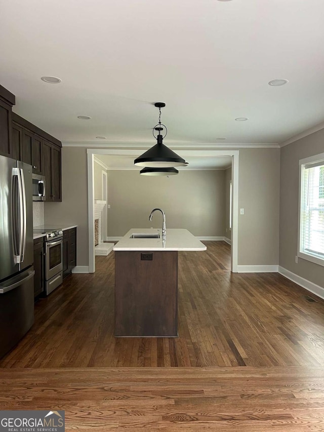 kitchen featuring appliances with stainless steel finishes, dark brown cabinetry, crown molding, sink, and an island with sink