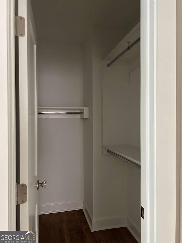 spacious closet featuring dark wood-type flooring