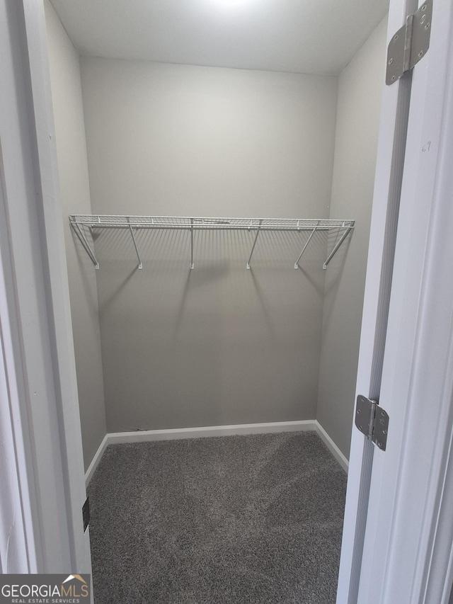 spacious closet featuring carpet flooring