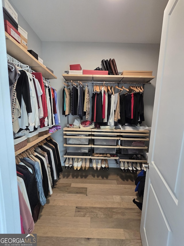 walk in closet featuring wood finished floors