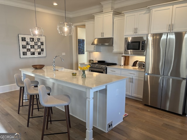 kitchen with dark wood-style flooring, backsplash, appliances with stainless steel finishes, a sink, and under cabinet range hood