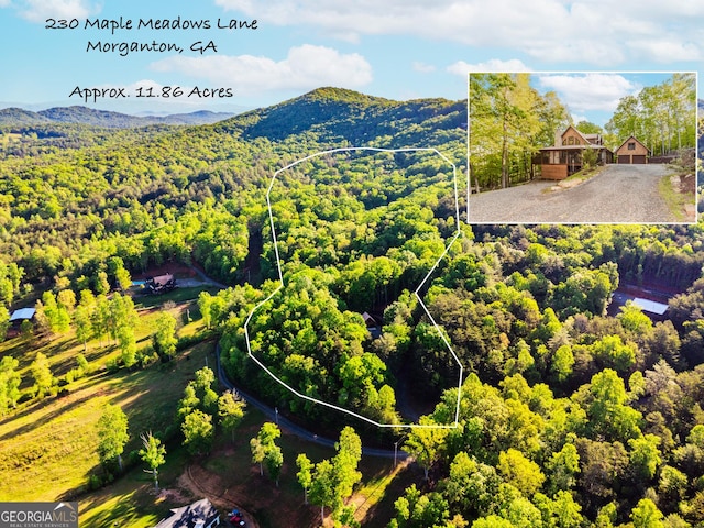 drone / aerial view of a heavily wooded area and a mountain backdrop