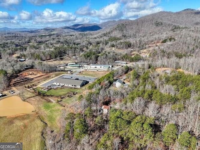 birds eye view of property with a mountain view