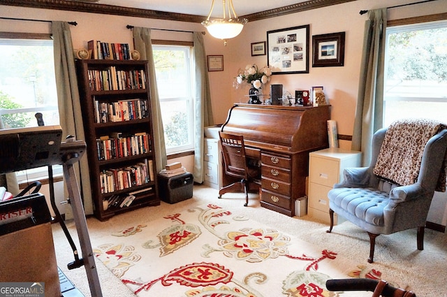 carpeted office featuring crown molding