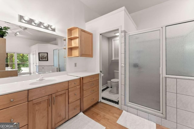 bathroom with a shower with door, vanity, wood-type flooring, and toilet