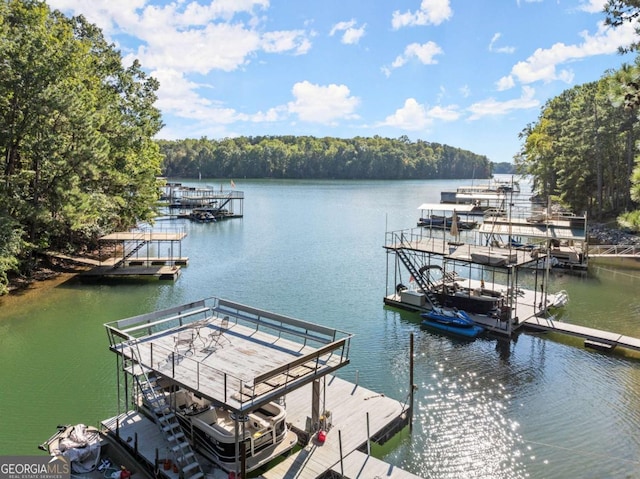 dock area with a water view