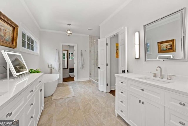 full bathroom featuring a sink, two vanities, ornamental molding, and a shower stall