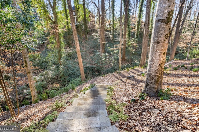 view of yard featuring a wooded view