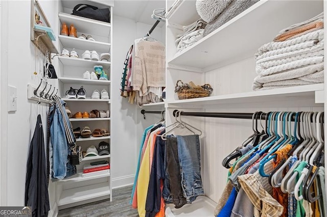 spacious closet with wood finished floors